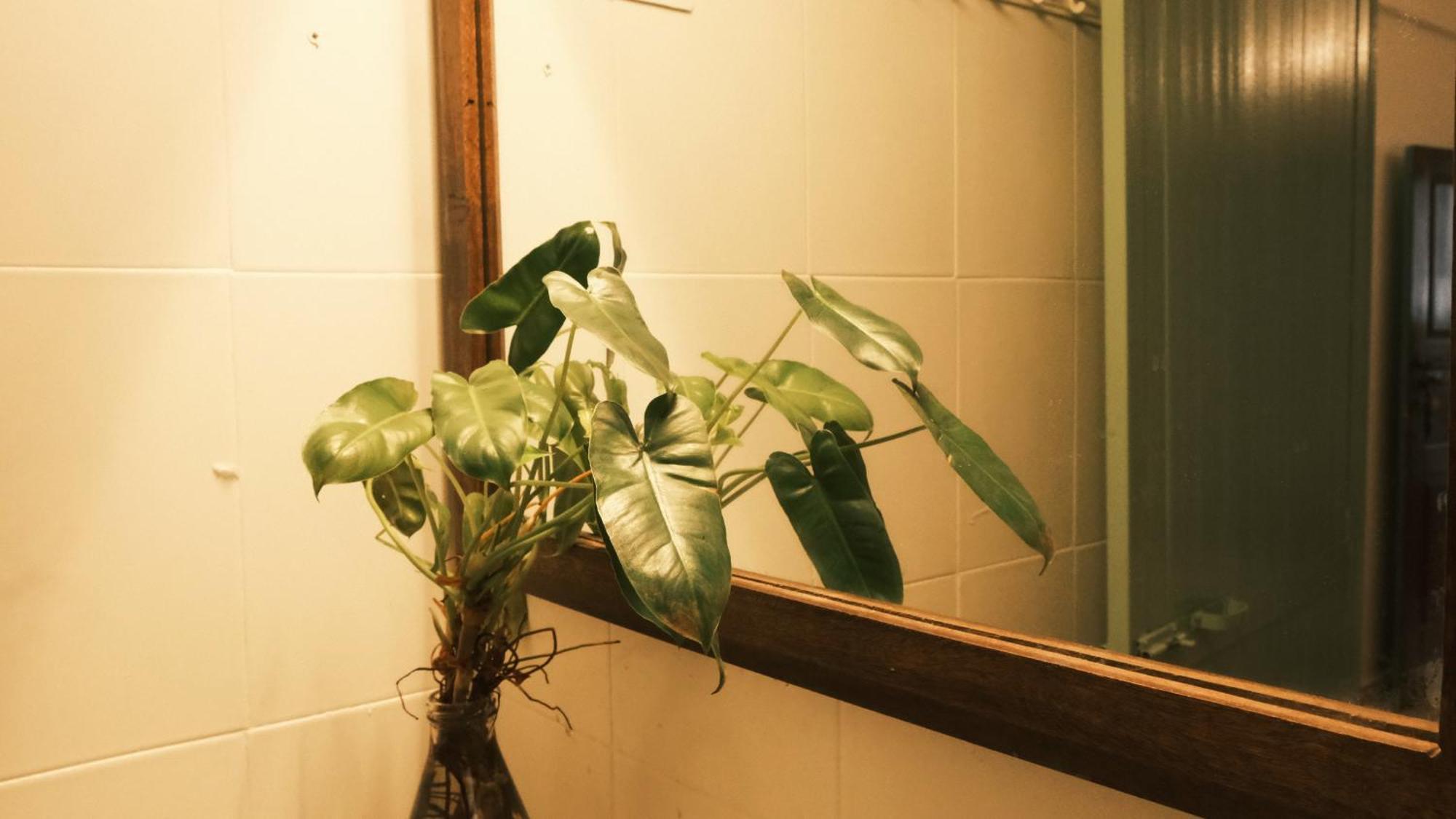 Hotel Coco Moon Morjim Zewnętrze zdjęcie