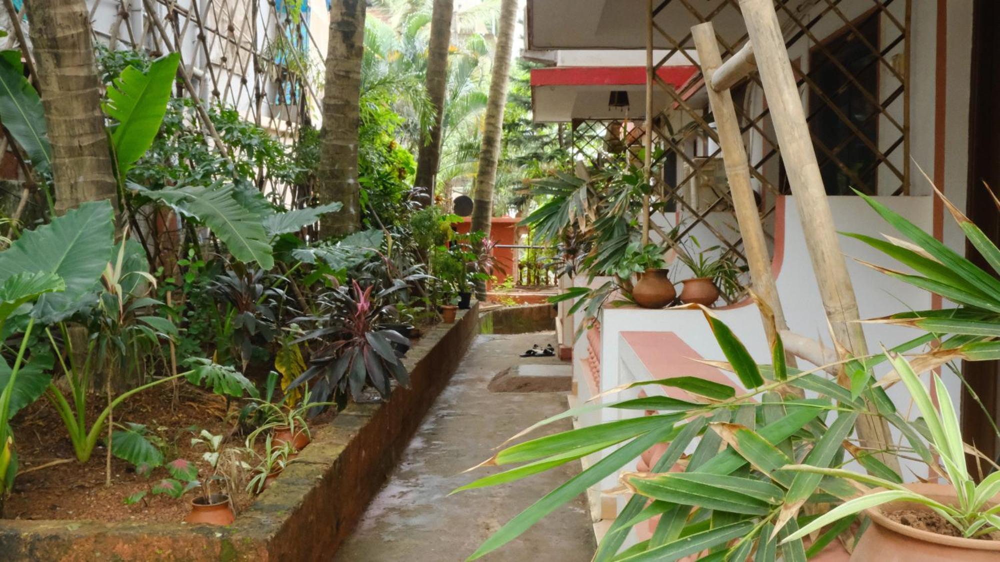 Hotel Coco Moon Morjim Zewnętrze zdjęcie